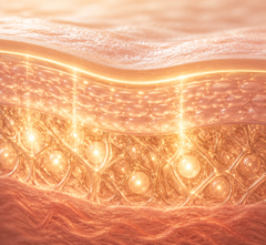 Skin From Within